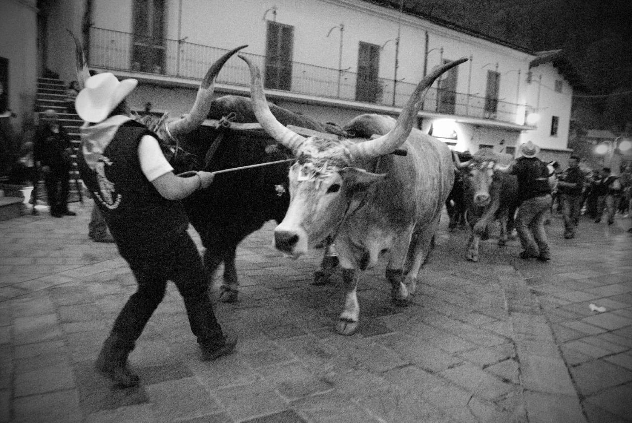 Tana Libera Tutti 1 Nature, Yourself, Love Viggianello Eksteriør bilde